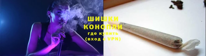 бошки Верея