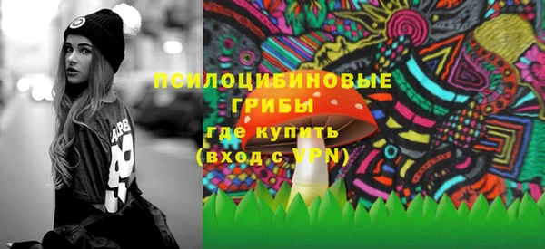 бошки Верея