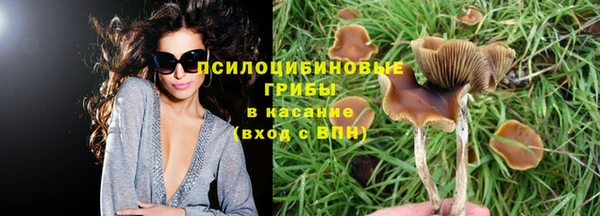 винт Бородино