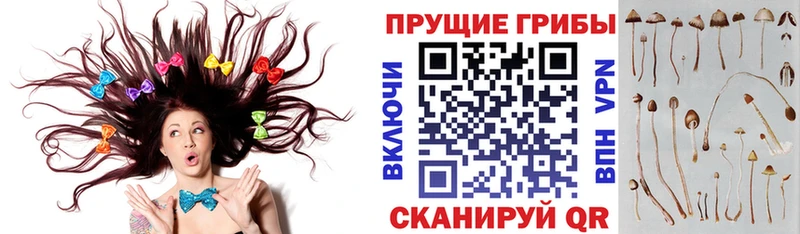 Псилоцибиновые грибы Magic Shrooms  Вяземский 