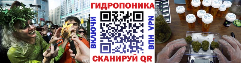 Бошки марихуана семена  что такое наркотик  Вяземский 
